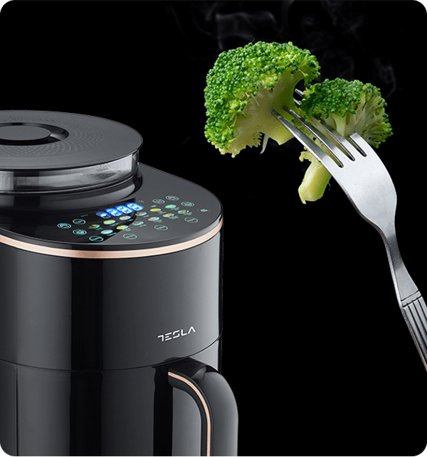 TESLA AF450BCS airfryer