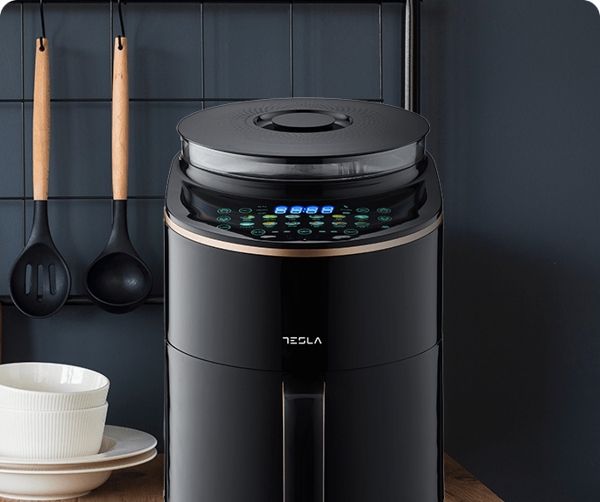 TESLA AF450BCS airfryer