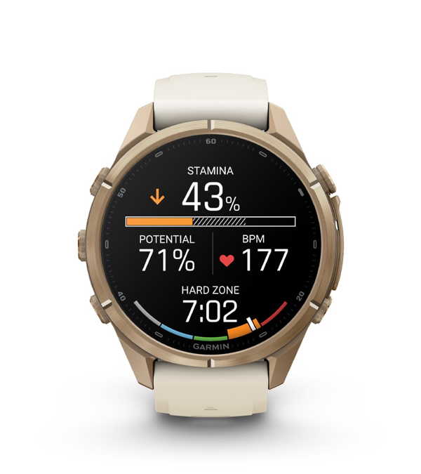 GARMIN Fenix 9 Pro 43mm Titanium smartwatch