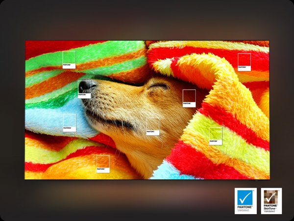 Samsung QE77S83HAEXXH OLED TV