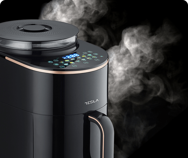 TESLA AF450BCS airfryer