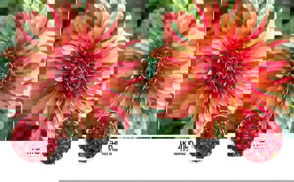 Samsung UE50AU7022KXXH